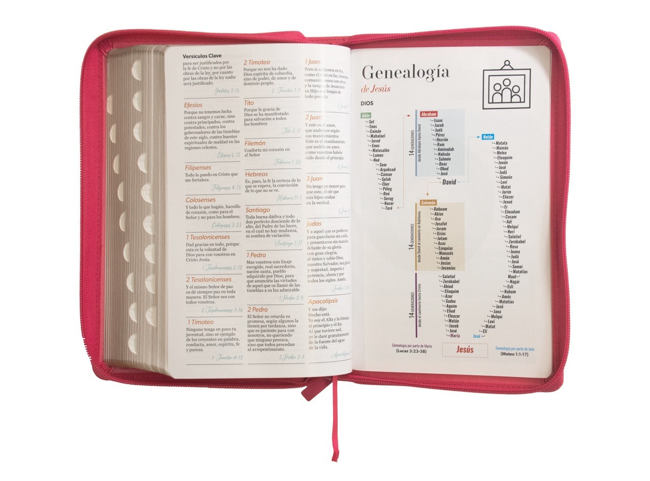 Biblia RVR60 Tamaño Manual Letra Grande fucsia